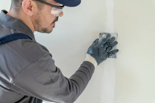Best Airborne Mold Testing  in Ralls, TX