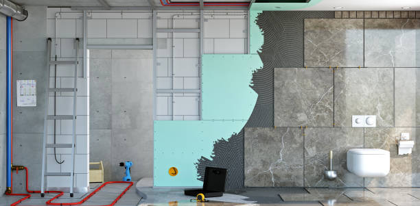 Best Mold Remediation for Vacation Homes  in Ralls, TX