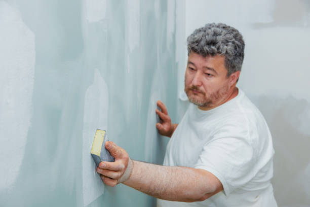 Best Industrial Mold Remediation  in Ralls, TX