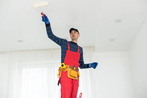 Best Crawl Space Mold Remediation  in Ralls, TX