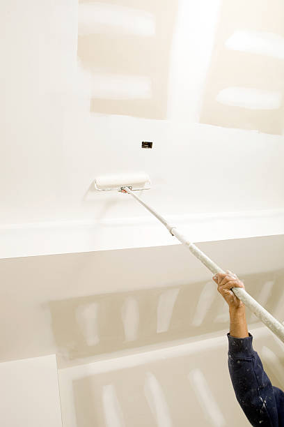 Best Mold Damage Restoration  in Ralls, TX